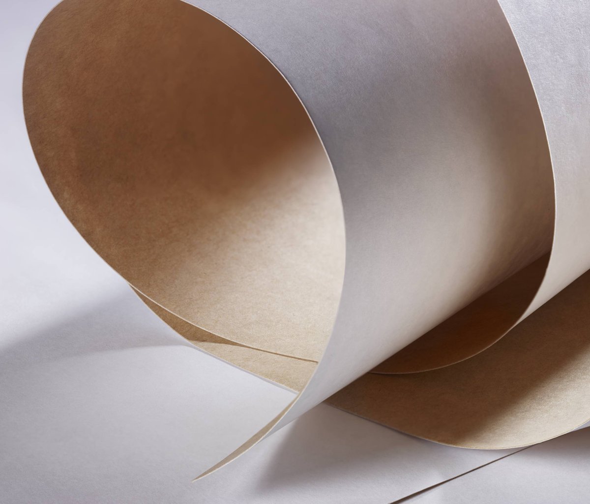 Musta Butt perseestä