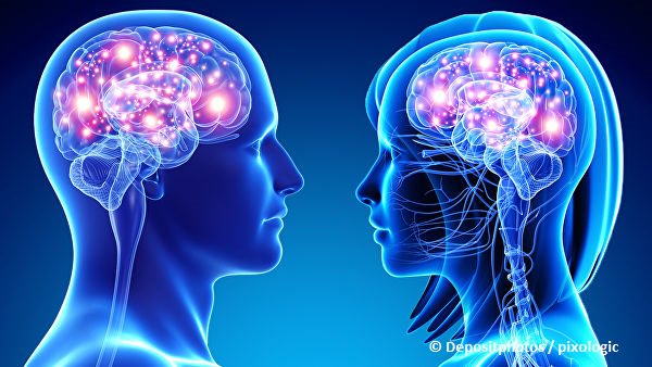 У мужчин мозг больше, но женщины лучше им пользуются ria.ru/20190528/15549…