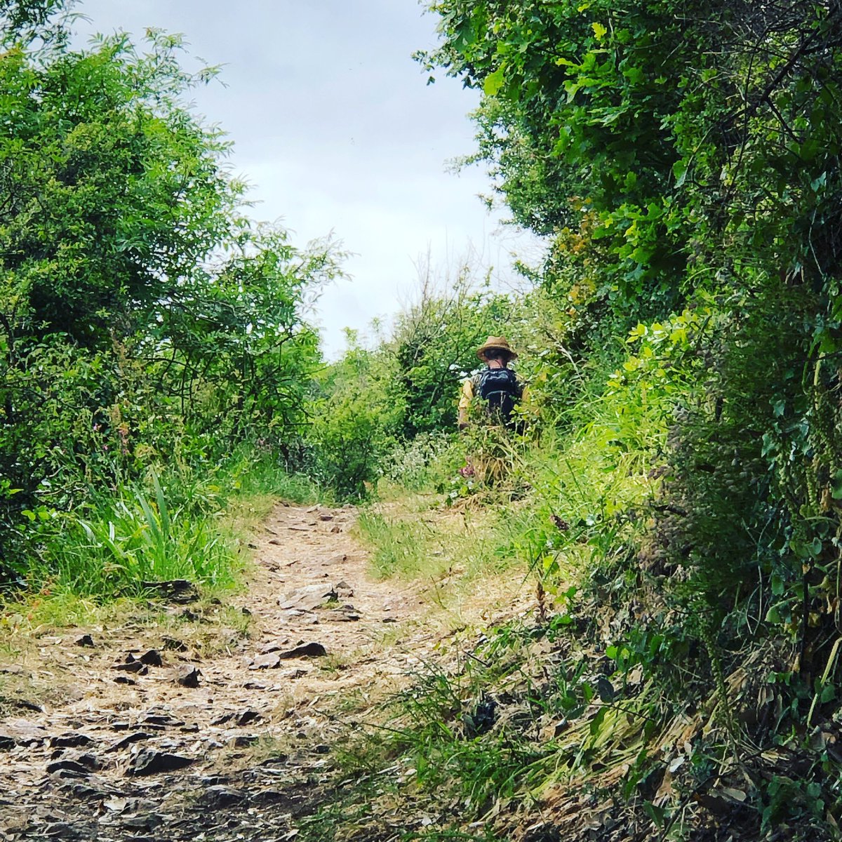 Fancy a walking break? The South West Coast path is on our doorstep. We’ve availability for September! @WindchimesH @VisitDevon @ifootpathuk @iFootpath_Accom @GuardianTravel @homeaway @TripAdvisor #holiday #Travel #Devon #Cornwall