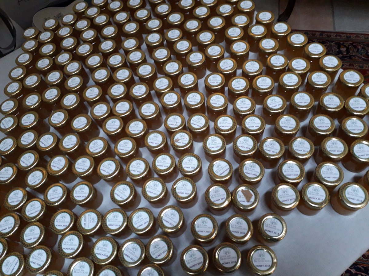 boni_golf's tweet photo. The 2nd day of ETS Field Days 2019 is going to begin at @Golf_Montecchia...and the delegates have found a little surprise at the entrance! @sustainablegolf #honey #pollinators #turfgrass @RussellRiley20 @IndigrowR #nature #environment #education https://t.co/V17vcj3p72