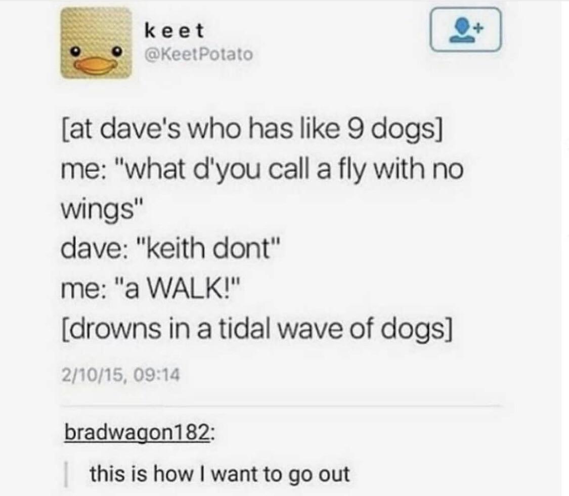 WholesomeMeme's tweet photo. https://t.co/IZ8zBsLG46