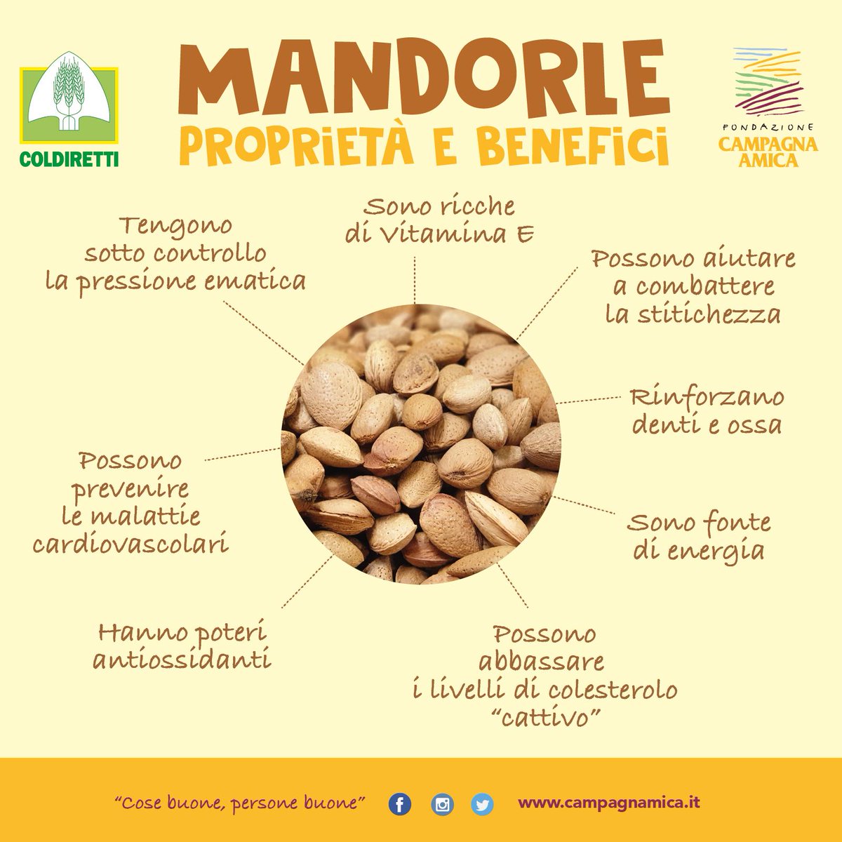 Piccoli scrigni di sostanze ricostituenti, le mandorle nutrono le ossa, abbassano il colesterolo e sono anche gustose come spuntino. Vuoi saperne di più? Clicca qui 👉 bit.ly/2JJDydF

#campagnamica #ilcibogiusto #cosebuonepersonebuone