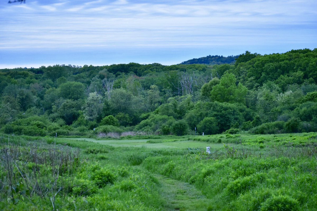 Flyers Field at Mary Cummings Park @ConCom_01803 @thetrustees #BurlingtonMA #naturalmassachusetts