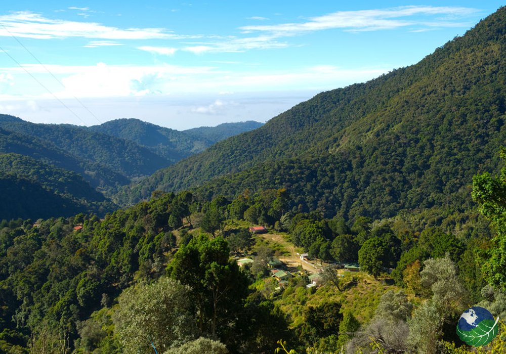 mycostarica's tweet photo. No, this is not a picture of the Alps! ⛰This is actually called San Gerado de Dota and it's famous for its incredible biodiversity. 😍
Learn more: https://t.co/y8aFetaLei
#costarica #mycostarica #mountains #sangerardodedota #queztal #birding https://t.co/AxIj4aqH6I