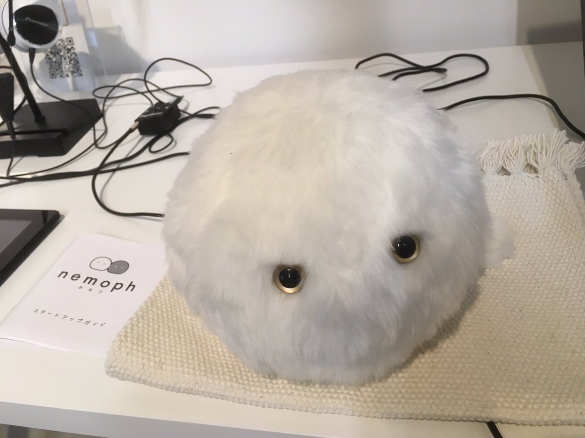 hayashih's tweet photo. 昨日の #techpub の会場 granicaさんにいた白いスー⚪️
nemophというらしい。喋るらしい。 https://t.co/Oyyr6YCPjQ