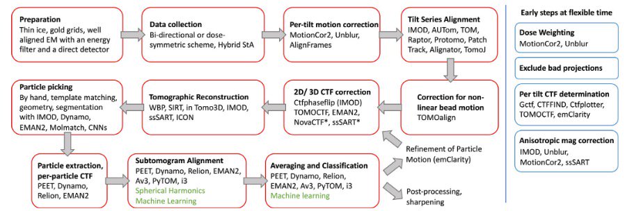 Please take a look at a book chapter on subtomogram averaging which we happily present with Kendra Leigh, Paula <a href="/MothNavarro/">Moth Navarro</a>, Daniel Castano-Diez and others.  researchgate.net/publication/33… The final figure is everyone's fav StA workflow.