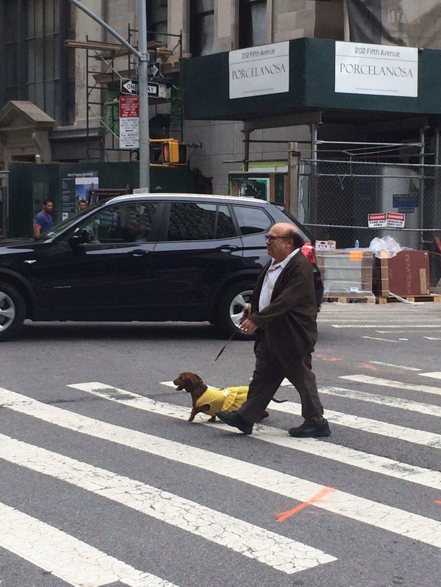 CharlieDayQuote's tweet photo. Probably the best thing you'll see all day ❤️ @DannyDeVito https://t.co/Jtvt1PYWDg