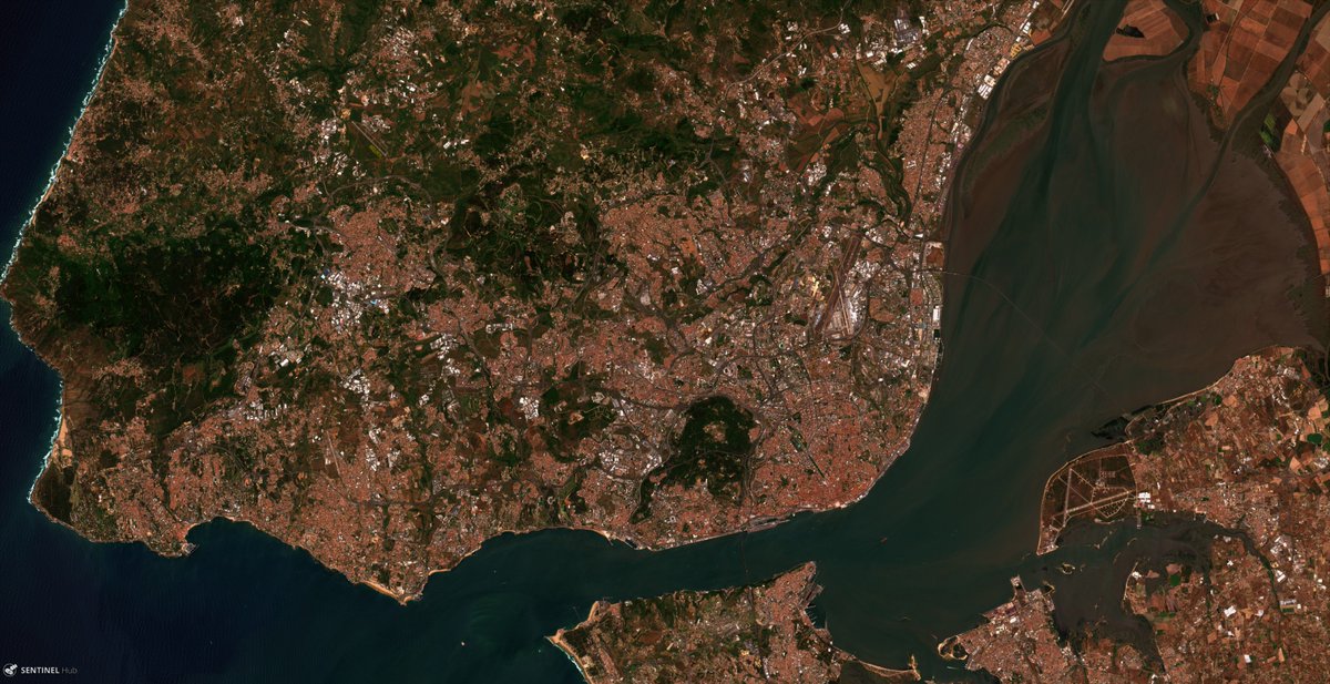 overstoryai's tweet photo. Tomorrow we will be presenting @20treeAI alongside 9 amazing startups at the @techstars Lisbon by @SemapaNext Demo Day! #forests #AI #satelliteimagery #planetintelligence #Sentinel2 2019-05-25 https://t.co/p5ZIWaSQ2G