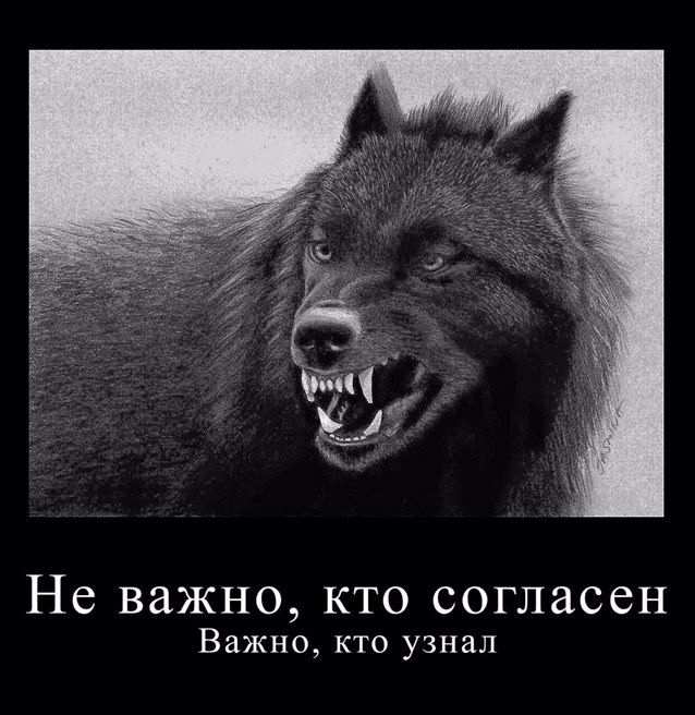 D7p4_WeWkAAhE0R?format=png&name=small