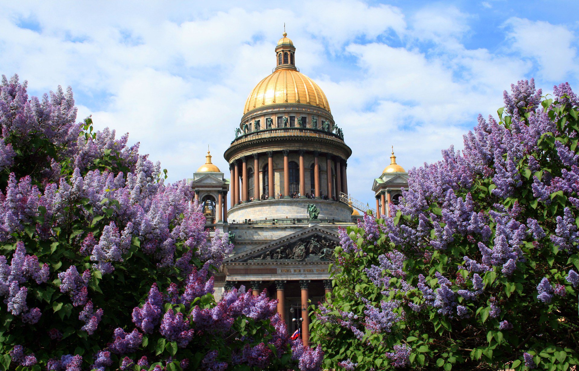 Исакиевский собор сирень