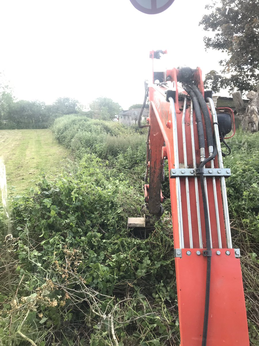 tony_mortimer's tweet photo. Literally up to my neck in bramble ๐คฃ ... #landclearance #diggertime https://t.co/JuGXpiZXR8
