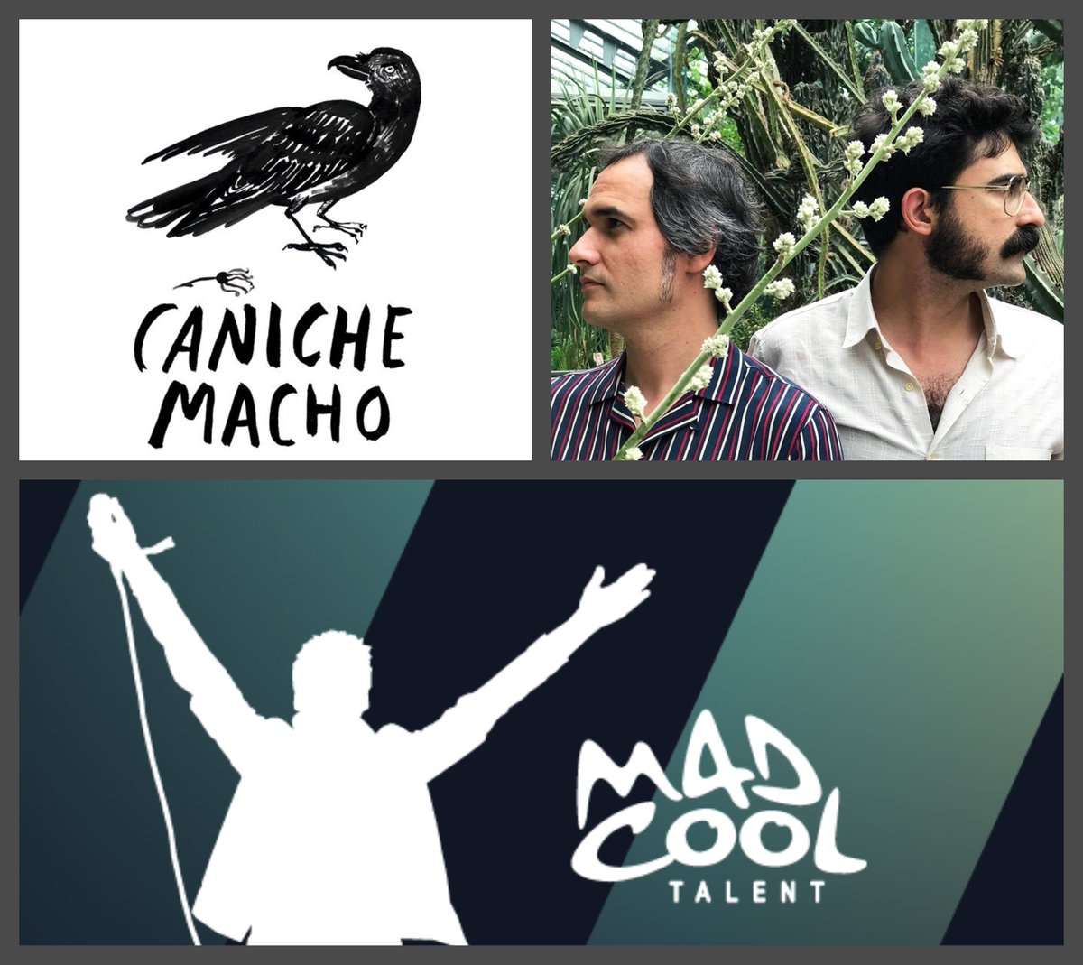 Participa con tu voto y ayuda a <a href="/CanicheMacho/">Caniche Macho</a>, banda de Alcázar de San Juan, a subirse al escenario del <a href="/madcoolfestival/">Mad Cool Festival</a> 2019. Puedes votar en a.cstmapp.com/voteme/31061/6… #BibPlay CLM