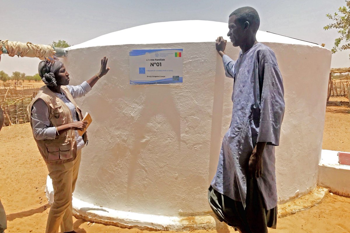 FAOSenegal's tweet photo. Le droit à une eau💧potable propre et de qualité est un droit de l’homme.

L'initiative «1 Million de #citernes pour le Sahel» de la @FAO vise à renforcer la #résilience et la #sécuritéalimentaire des femmes vulnérables.

🚰https://t.co/mWL0AlZMMm

#1MCSahel #FaimZéro #Kebetu https://t.co/qBoUiH4vqI