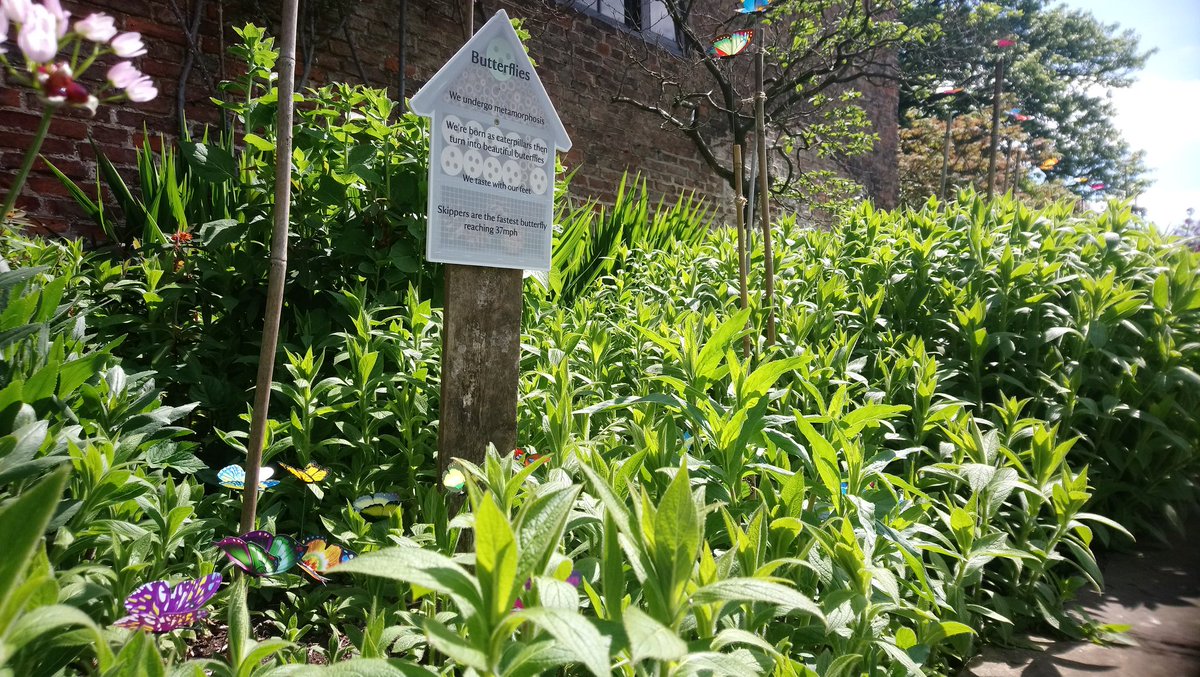 NTOrmesbyHall's tweet photo. This #halfterm there are two trails; become #bugexplorers to find the garden #bugs and inside the house become #bugdetectives to find the crime scene caused by the #peskypests. #bugsdiscoverytrail
@NTYorkshire @NorthEastNT. @R2GTeesDurham @primarytimestv @lovembro https://t.co/bdJgaYNgTm