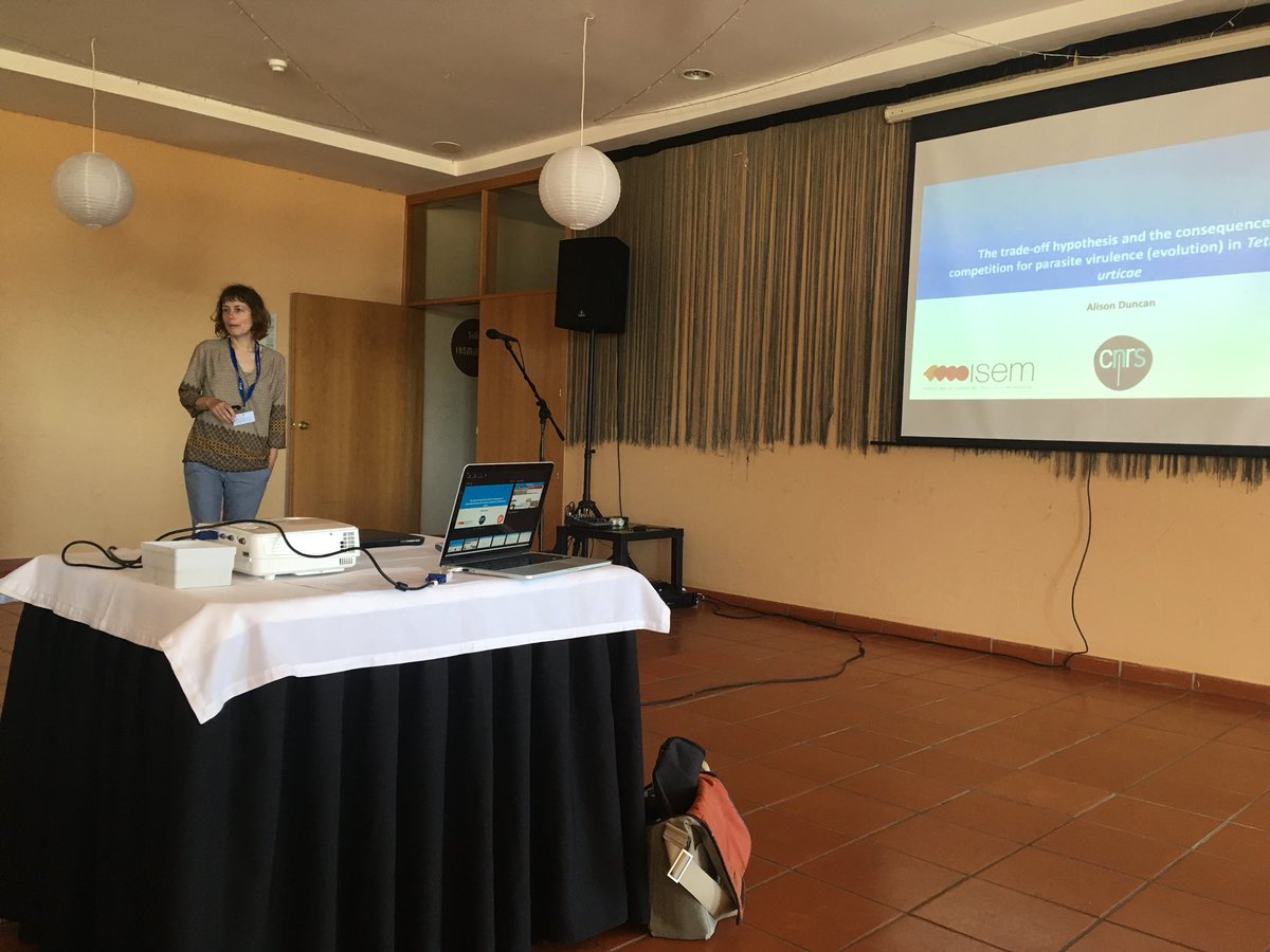 Alison B. Duncan sets the start of the second day of #empseb25, talking about virulence-transmission trade-off hypothesis!