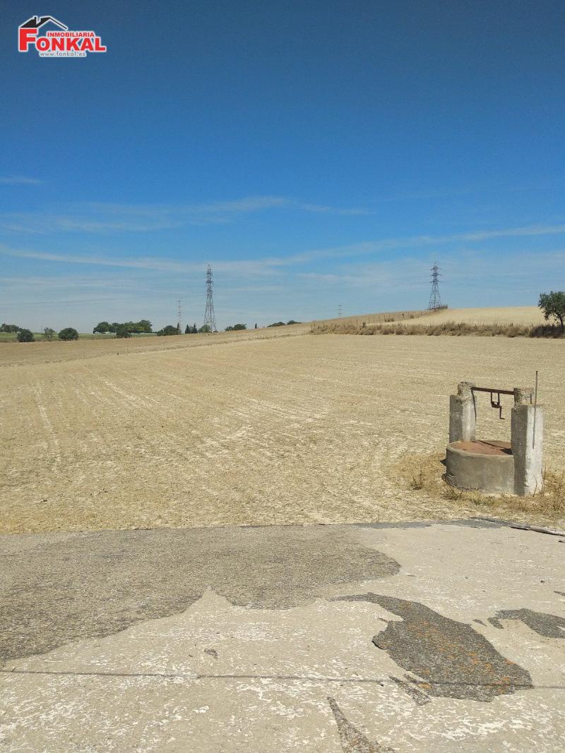 En venta FINCA RÚSTICA en #Jerez. 21.000 m2. Tiene agua potable (de la red), luz y línea telefónica, así como de dos pozos. Cerca de la ciudad. #enventa #fincarústica #comprar #vivienda #inmobiliaria #fonkalinmobiliaria Toda la info  😉👉fonkal.es/detalle-finca-…