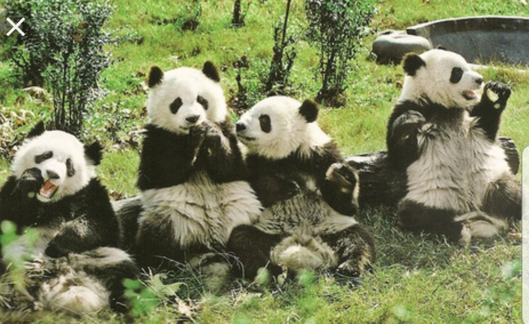 Early footage of us rehearsing a group game.