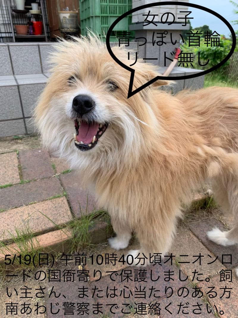 サナあわじ佐野運動公園店 (@sanaawaji_sano) / Twitter