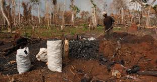 UNAAC3's tweet photo. More than 40% of the world’s population rely on solid fuels for their cooking and heating needs. Smoke penetrates deep into the lungs and causes 2.6m premature deaths. #cleancookingdialogue @WWF @Utn_Ug @nemaug @energyministry @UNDPUganda @cmukasa https://t.co/cg9X67Sgge