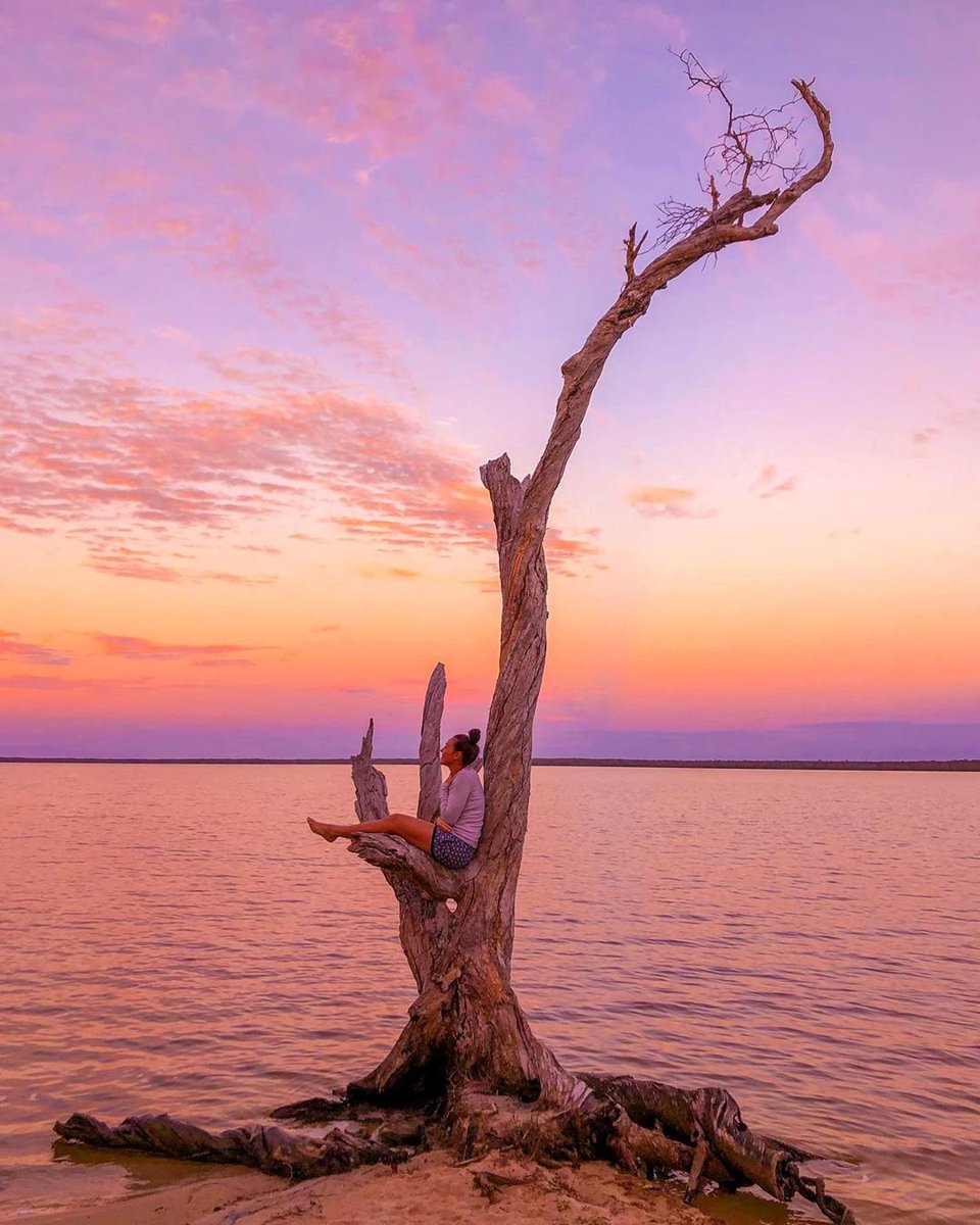 noosa's tweet photo. Scoring the best seat in the house to enjoy absolute pastel magic! 😮💓 Ohh so Dreamy! ✨😌 (Travel enthusiast IG/suarimeetsworld at #LakeCootharaba) #Noosa #RelaxationCapital https://t.co/X75XBibkgE