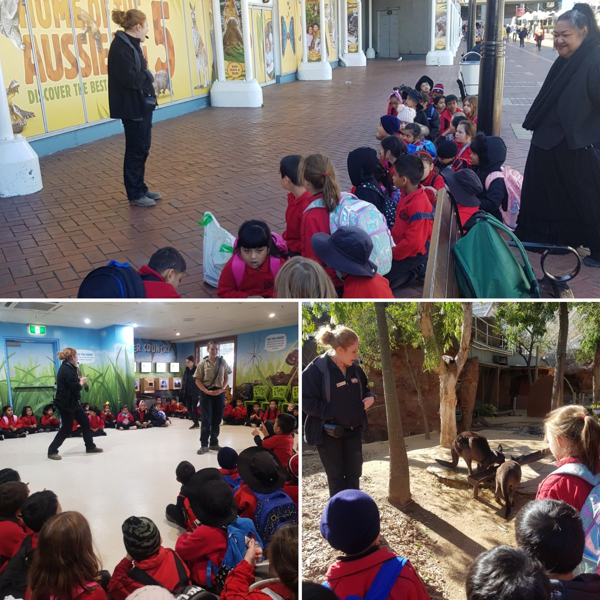 We had a fantastic time visiting <a href="/WILDLIFESydney/">WILD LIFE Sydney</a>! A valuable experience for every student.