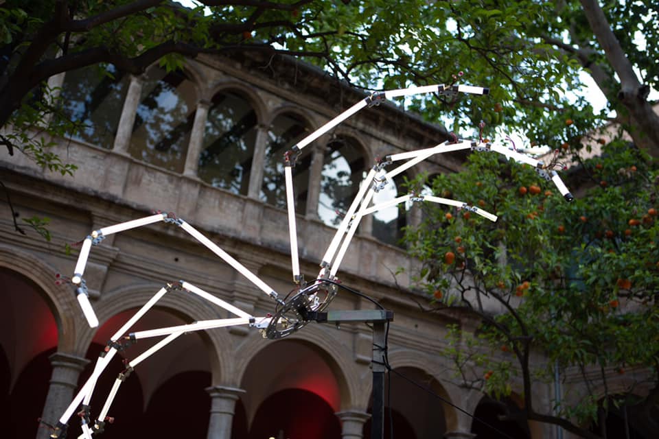 centredelcarme's tweet photo. 🕷🕸🕷 ‘Spiders Salvajes’ de #GroupeLAPS és un circ a l’aire lliure únic, on els artistes del qual són les aranyes.
👀 Pots visitar-lo al claustre renaixentista del #CCCC fins al 12 de juny
🖤 De la mà del Festival @10Sentidos
✔️ Entrada gratuïta https://t.co/YwUuTHFXMI
