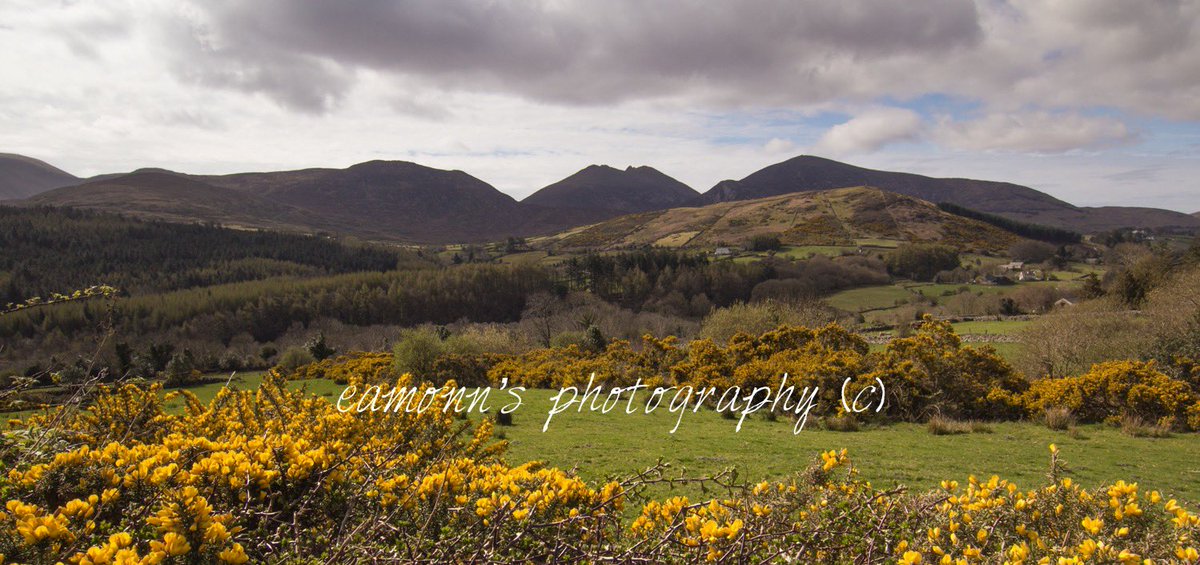 eamonnfitzsimon's tweet photo. The Mourne Mountains, County Down (from the roadside between Spelga and Newcastle) 

#PhotographyMonth
#Day28of31
#PhotoOfTheDay 

@visitmourne @DiscoverNI #mournemountains https://t.co/FibIvS4Km5