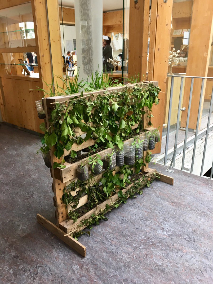 fdecoster's tweet photo. ♻️Restitution ce matin à #Enerlya des travaux de 240 élèves qui ont bénéficié des interventions des équipes du service #environnement  et des enseignants du conservatoire de @AggloCAPSO pour les sensibiliser au #développementdurable et à la réduction des déchets.🗑 https://t.co/vMIiEbkkIF