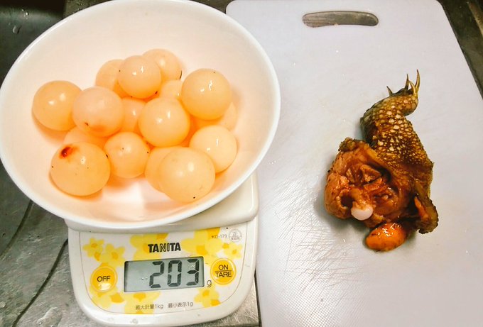 野生を食べよう カメ卵かけご飯 Togetter 野生を食べよう カメ卵かけご飯 Togetter