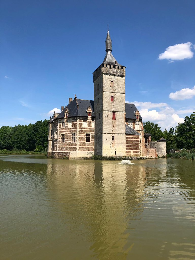 Showcase tweet media