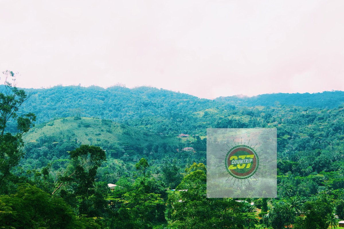 CounTrip237's tweet photo. Découvrez le Cameroun et la beauté de sa nature.
Babone - Ouest Cameroun 🇨🇲🏞⛰🚌
#Cameroun #Countrip237 #VisitezLeCameroun #Tourisme #Voyage #VisitezLafrique
https://t.co/LdX9JJHFdg https://t.co/Zuweq88X96