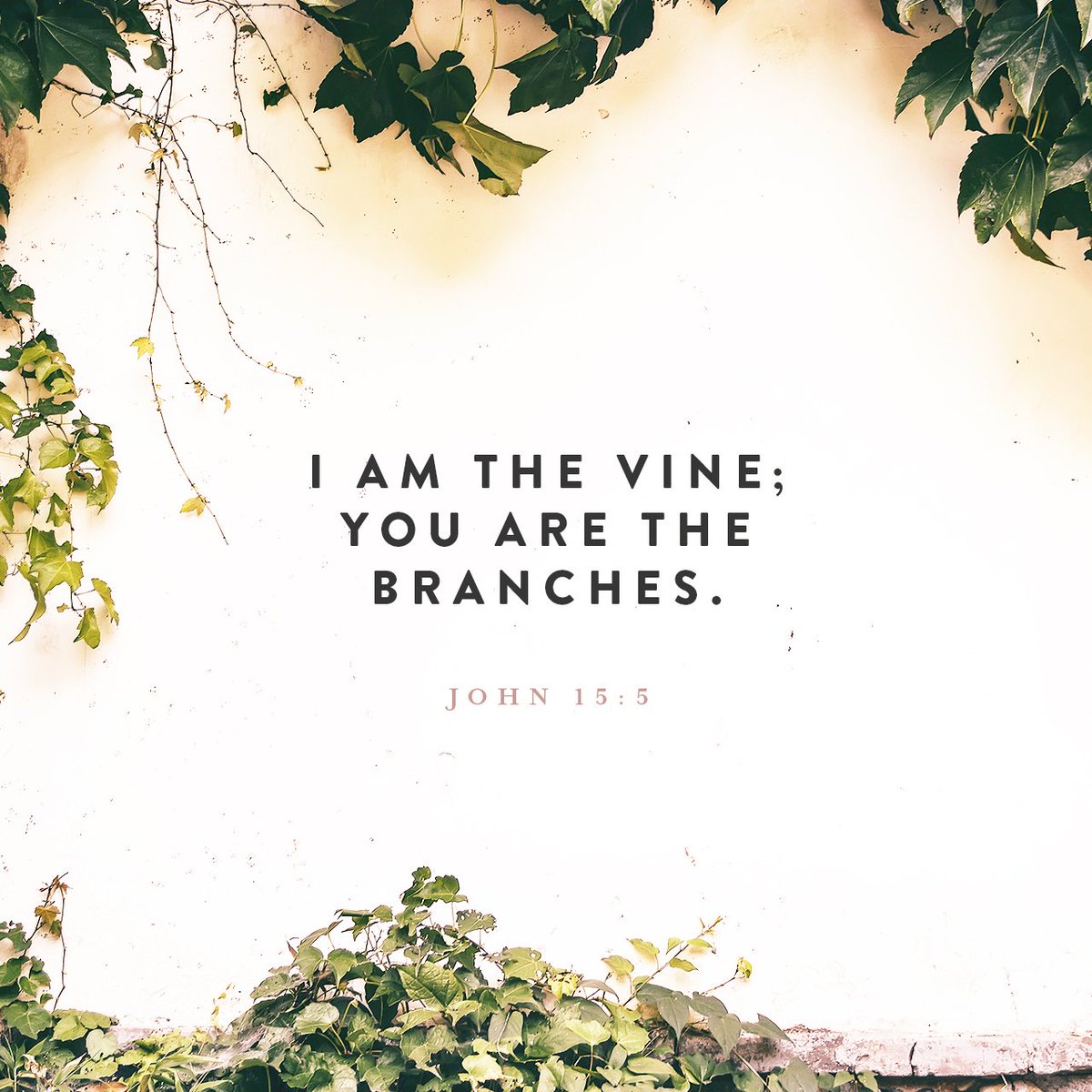 MessiahThreads's tweet image. “I am the vine; you are the branches. If you remain in me and I in you, you will bear much… bible.com/111/JHN.15.5