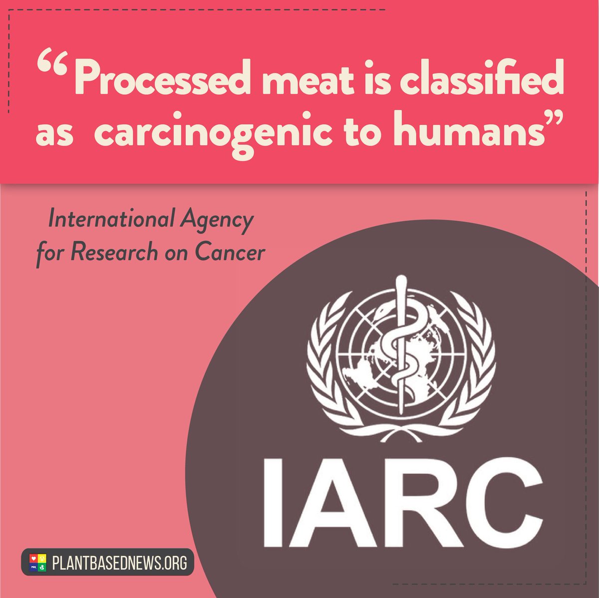 PlantBasedNews's tweet photo. Processed meats are in the same class of carcinogens as cigarettes 🚬 and asbestos 💀 https://t.co/mOAkZO12ka