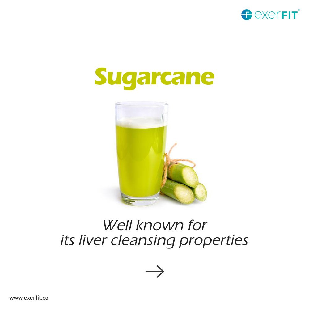ExerFitWellness's tweet photo. As the heat rises this summer, you’ll need to pay close attention to one important aspect of your health: your hydration. #TurnDownSummer in the right and natural way.
#exerFIT #BeMoreDoMore #Sports #Healthy #Nutrition #Food #FoodIsFuel #HealthyBody #HealthyMind #Fit #Healthy https://t.co/rZ7apKPyIu