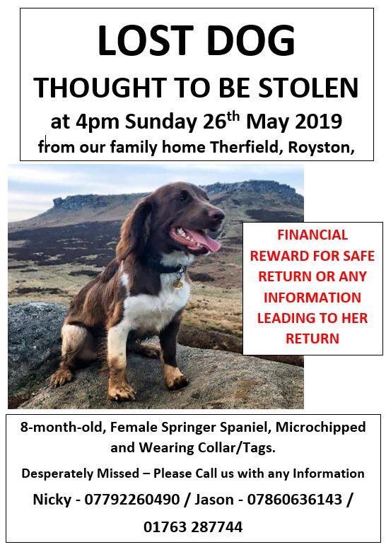 Thought to be stolen from one of my local vets 😢 Hertfordshire please rt. @DoglostUK