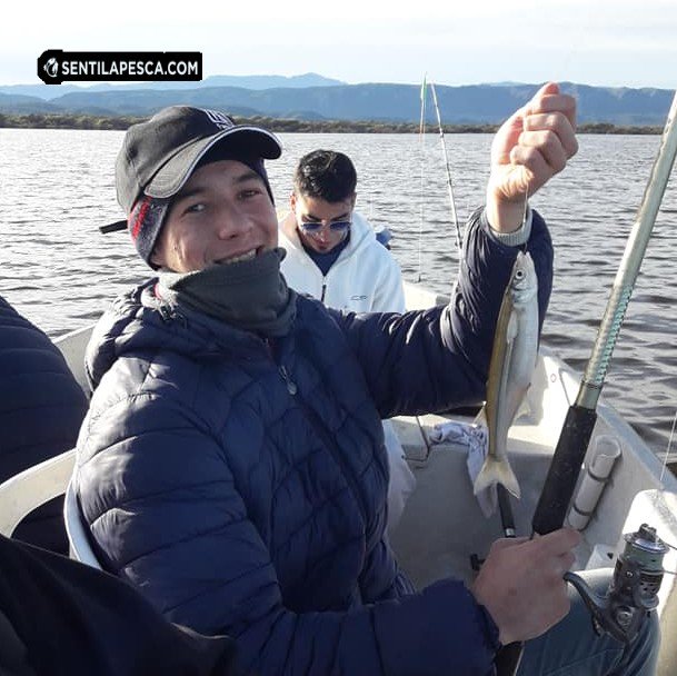 Sentilapesca's tweet photo. Dique Cruz del Eje | Día con mucho viento norte y el pique difícil, pero como este #Dique nunca te deja a pata salimos con el canasto casi lleno!
.
#Pescadeportiva #Pejerrey #Dique #CruzdelEje #Diquecruzdeleje #Cba #Pescaembarcada https://t.co/IxgS88sA9e