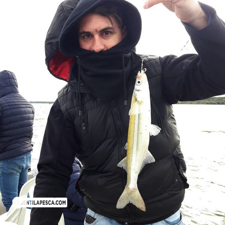 Sentilapesca's tweet photo. Dique Cruz del Eje | Día con mucho viento norte y el pique difícil, pero como este #Dique nunca te deja a pata salimos con el canasto casi lleno!
.
#Pescadeportiva #Pejerrey #Dique #CruzdelEje #Diquecruzdeleje #Cba #Pescaembarcada https://t.co/IxgS88sA9e