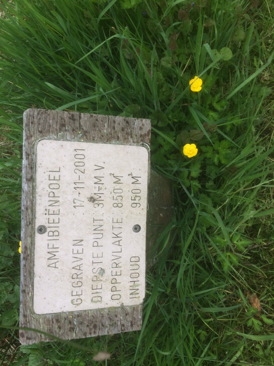 NWGLiempde's tweet photo. Zaterdag 15 juni opa/oma dag van 14.00 tot 16.00 uur de Roskam Vrilkhoven https://t.co/EeoNqnEeBT