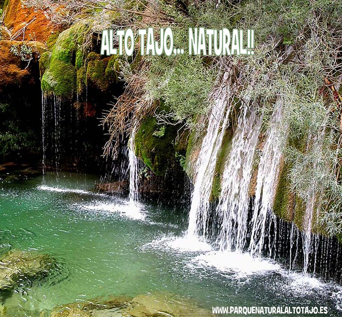rurismo's tweet photo. Ven y disfruta...
#parquenaturalaltotajo #barrancos #cascadas #cañones #Spain
 👉https://t.co/1LvoVOJlyU https://t.co/Qose4tQ0pe