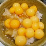 野生を食べよう カメ卵かけご飯 Togetter