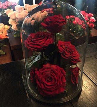 3relation tweet media