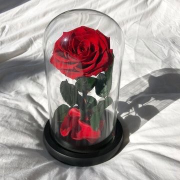 3relation tweet media