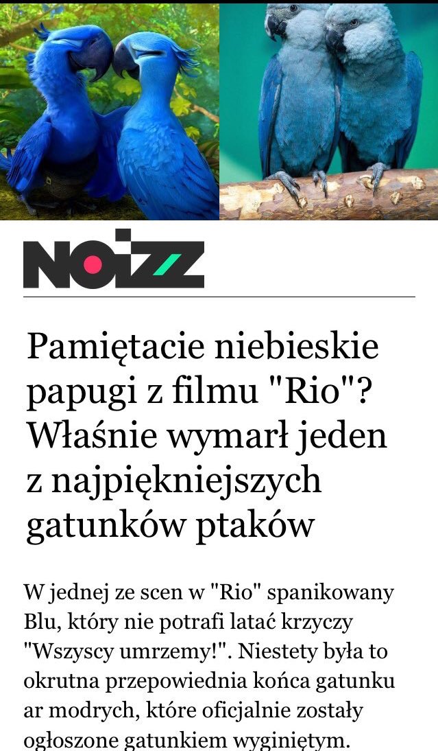 Mrs_Malikowa's tweet photo. „Ziemia nie należy do człowieka, człowiek należy do Ziemi. Cokolwiek przydarzy się Ziemi, przydarzy się człowiekowi. Człowiek nie utkał pajęczyny życia – jest on niteczką w tej pajęczynie. Jeżeli niszczy więc pajęczynę, niszczy samego siebie” https://t.co/X31nlGZ04h