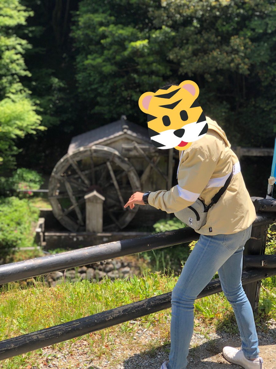 taigahappys's tweet photo. バイク買ってからいろんな所行けるけん休日がホントに楽しみ😪
梅雨来たら結構なえるなぁ！ https://t.co/1v825dzxq9