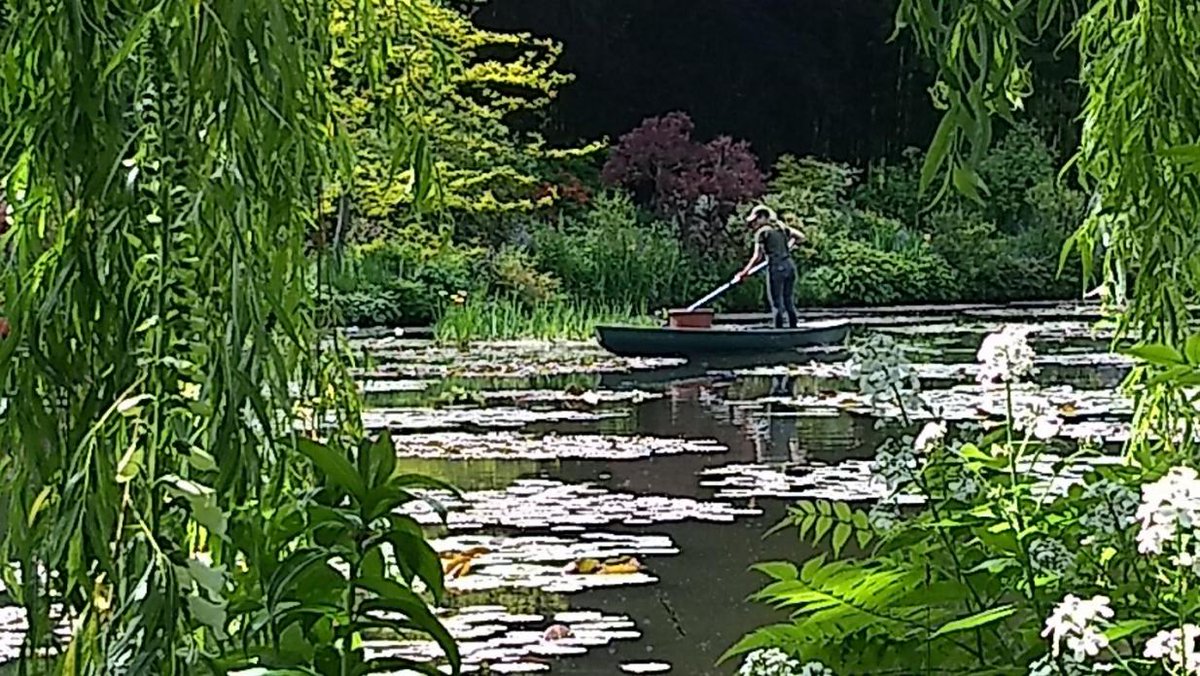 SHRM's tweet photo. "Weeding Monet's Garden" By Ross Smith explores how to find meaning in your work. https://t.co/dfNt1R9Z82 https://t.co/ns1CIEmkE4