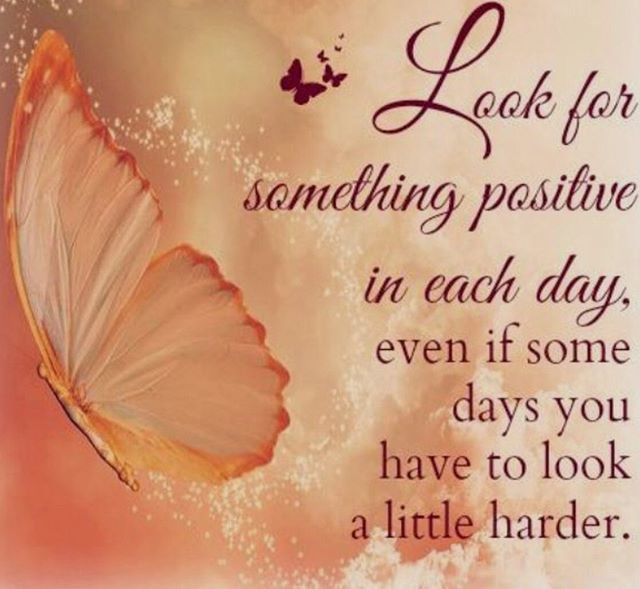AileenCmentor's tweet photo. #AileenC, #AileenCastellano, #HighVibe, #Crystallinegrid, #Purpose, #Karma, #trauma, #ChristConsciousness, #Ascension, #ALLIN,  #SacredSurrender, #Intention, #Entrepreneur, #lightworker, #AwakenedSoul, #spiritualteacher, #Guides, #angels, #butterflies, #… https://t.co/bs8lBU0m1k https://t.co/KAxtf8bl3V