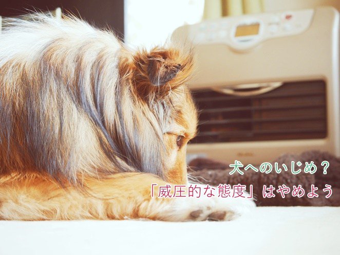 瀧沢かいるー 無職犬漫画家 犬いじめはやめよう 無意識の 威圧的な態度 に要注意 T Co Gev0j7d5wj