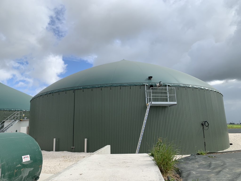 Hannah Besser tweet media