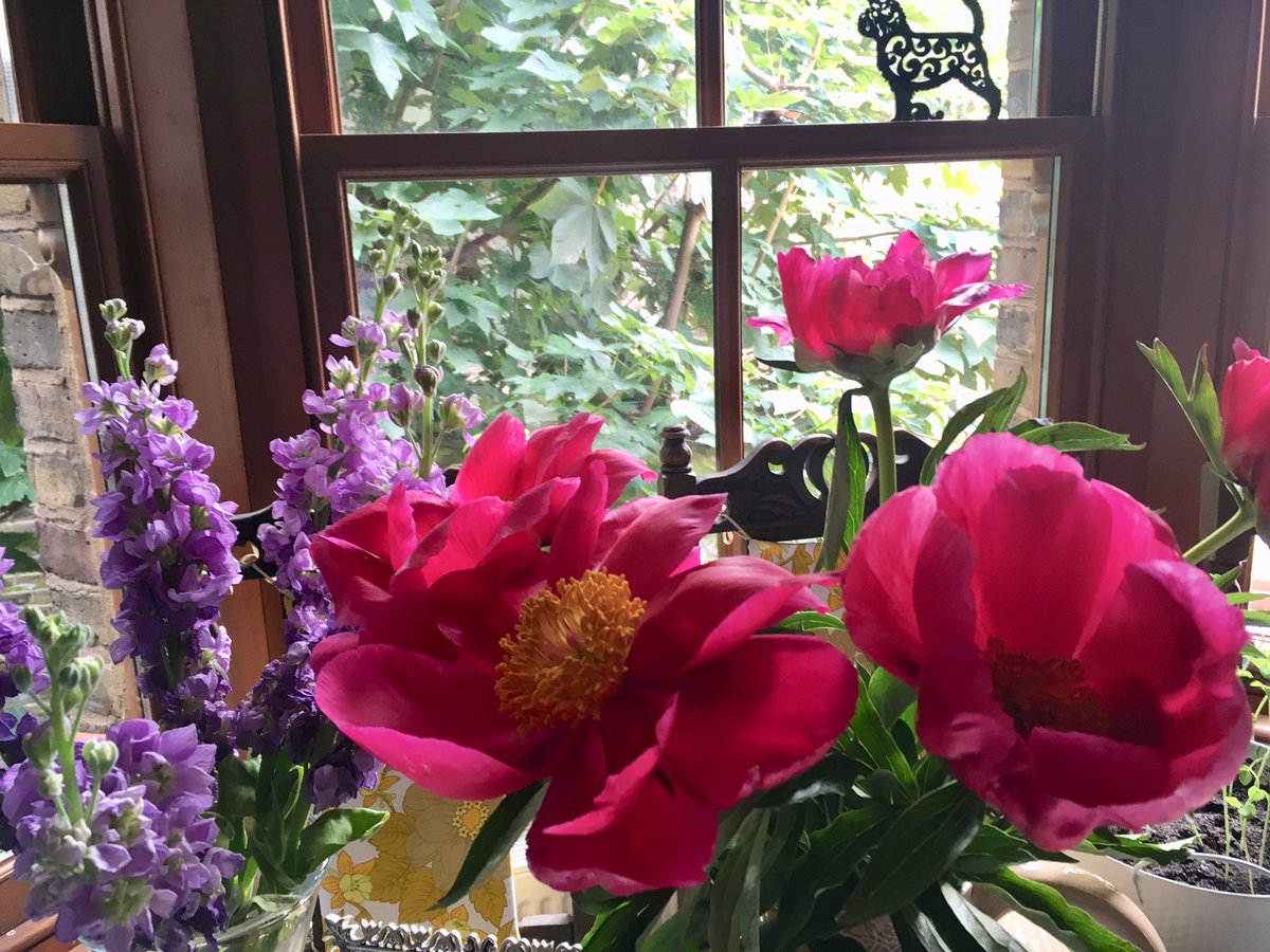 BunnDeborah's tweet image. 3yrs ago mum was laid to rest with her family in Ireland as per her wishes. Merrie Loots Care Home disregarded her End of Life Care Plan when they terminated her residency without warning. She was forced to leave &amp;amp; died 7wks later 💔 #CQC GOOD rated #JusticeForPatsy #dementia