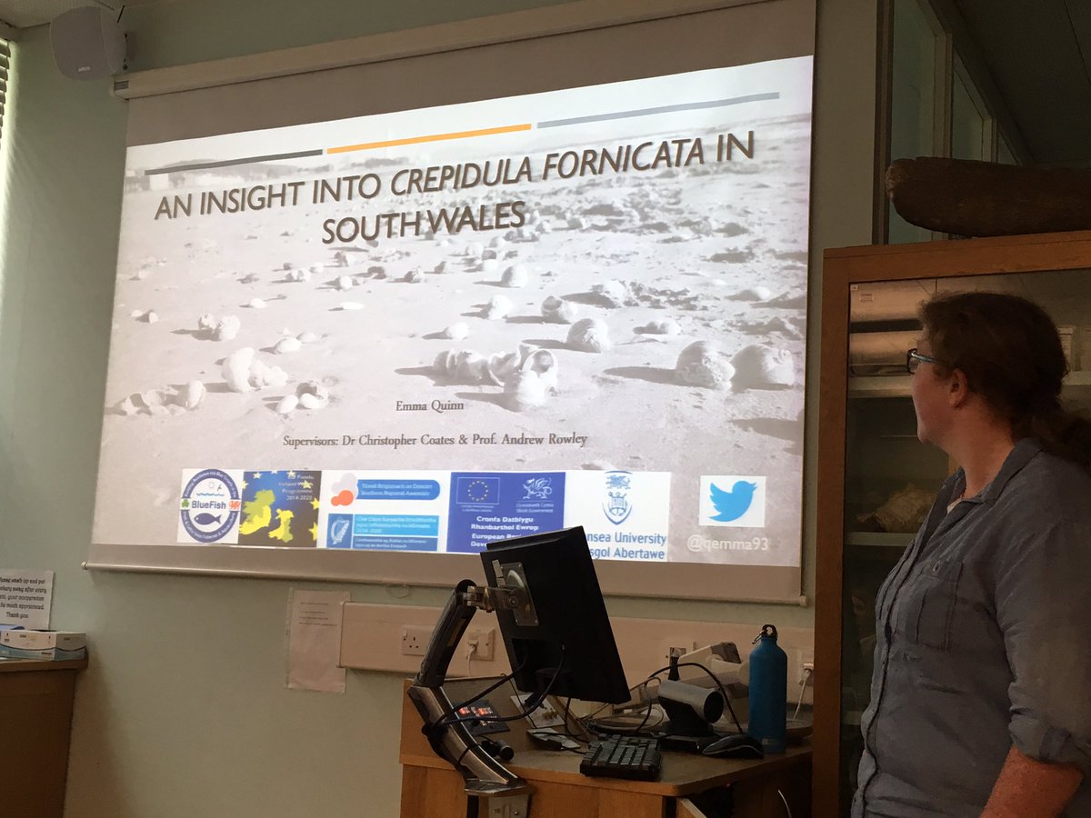 jessica_minett's tweet photo. Also @QEmma93 tells us about the introduction of #crepidula in #Ireland and #Wales and how her #research with @BlueFish_EU is going! #WallaceCoffeeTalks @swanscience https://t.co/zn5xJEmR0S